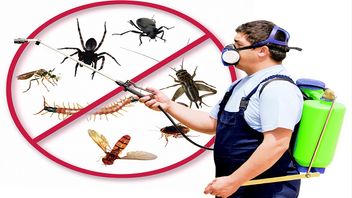 পেস্ট কন্ট্রোল সার্ভিসেস ইন ঢাকা